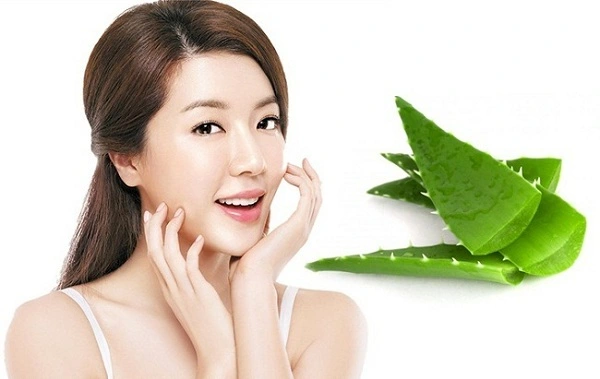 7 công dụng tuyệt vời của nha đam trong làm đẹp